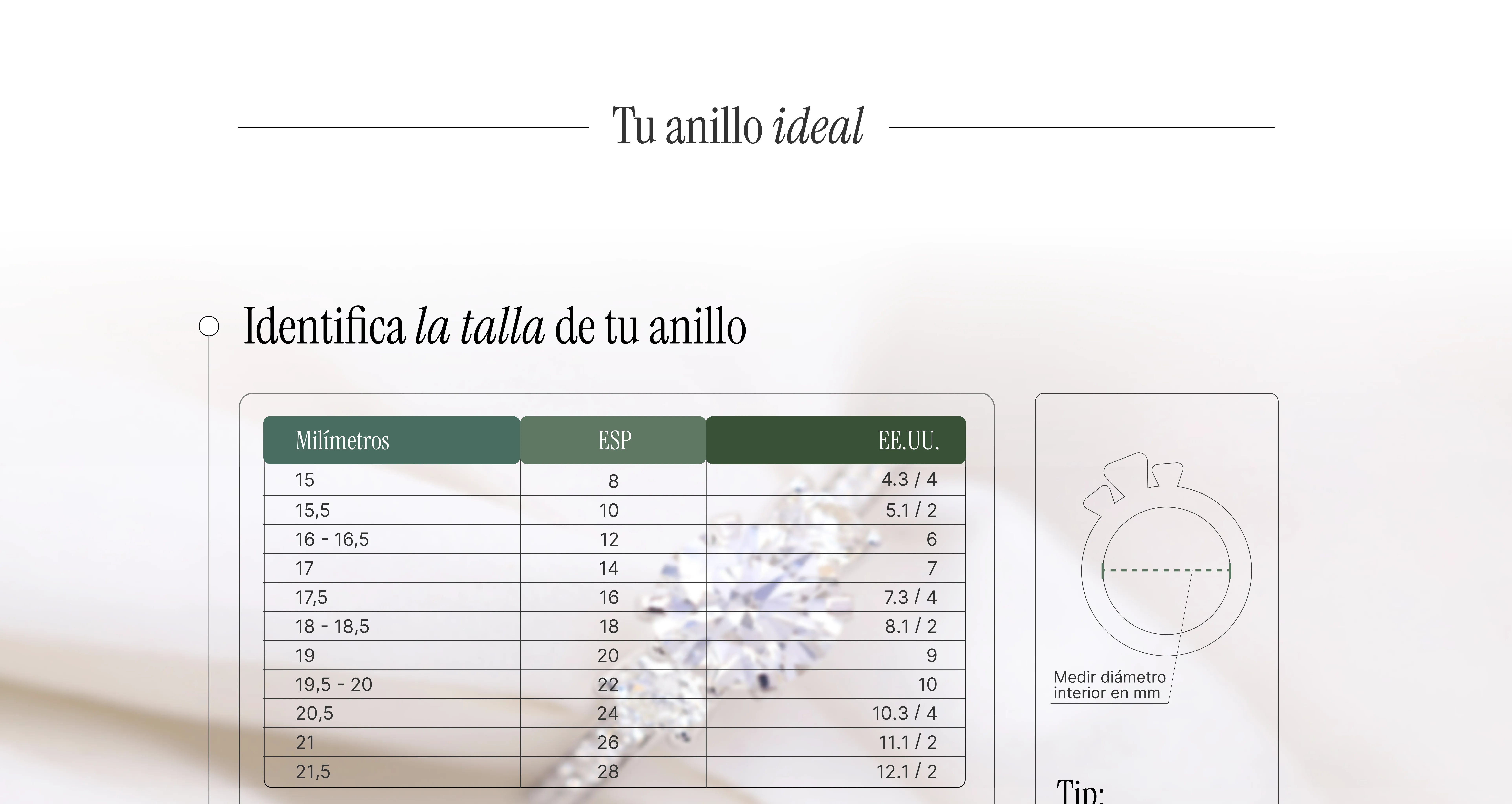 Tu anillo ideal — Carolina Arcieri